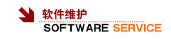 软件维护服务内容